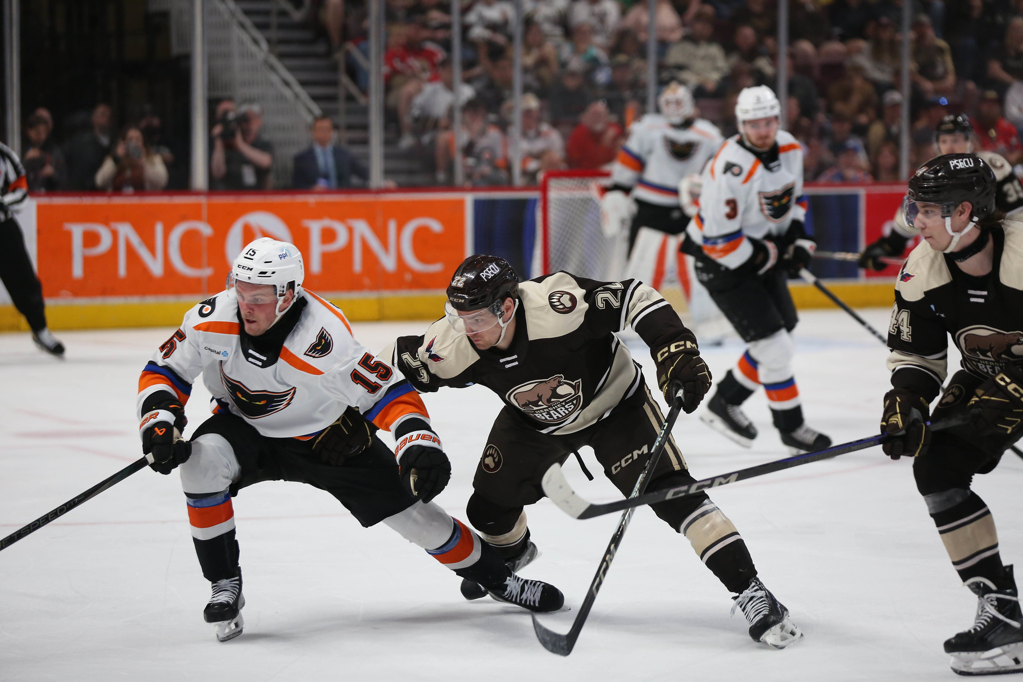 Photo courtesy Tori Hartman/Hershey Bears