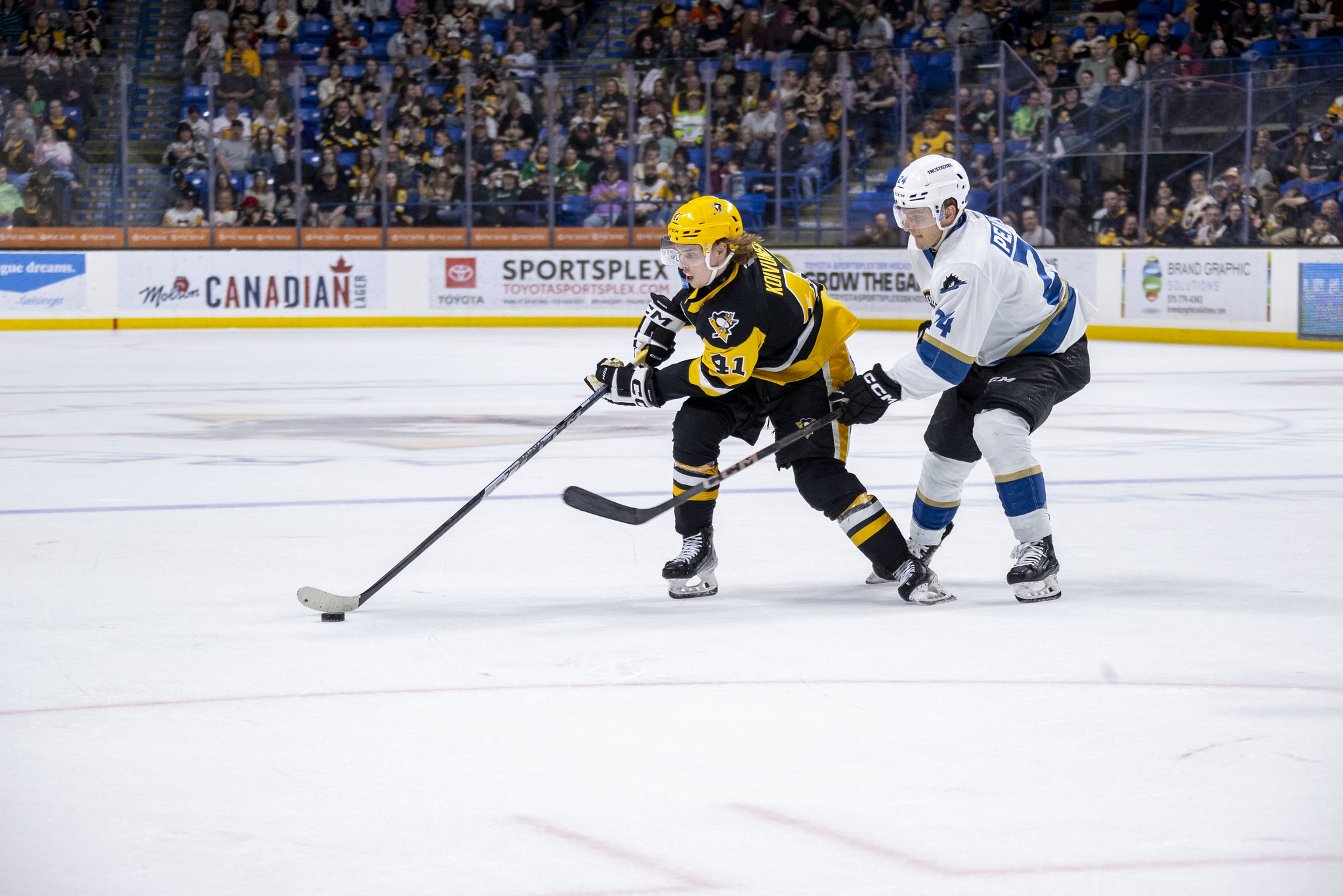 Is Koivunen Primed For Postseason Success With W-B/Scranton?