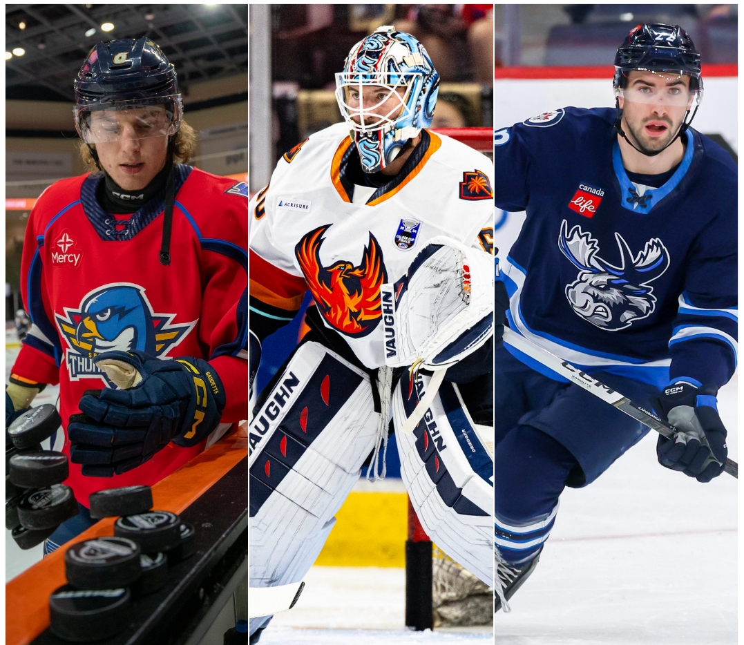 Inside AHL Hockey: 2024 AHL Free Agency 'The Big Board' (Version 2.0)