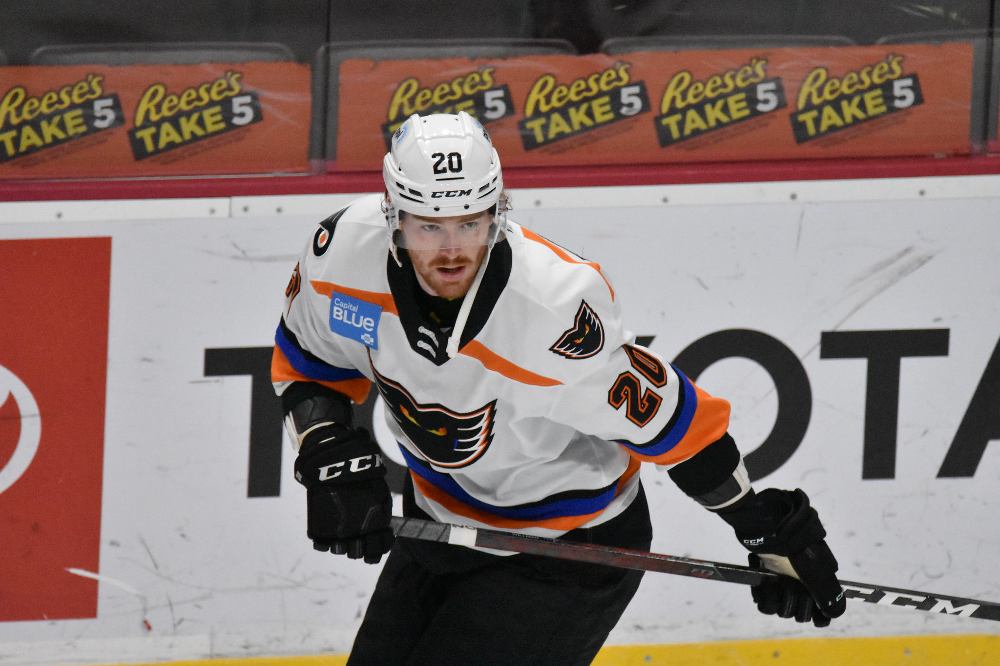 Willman's Path To The NHL One Of Perseverance