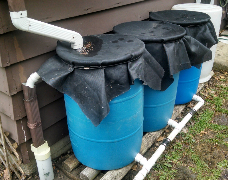 rainwater collecting
