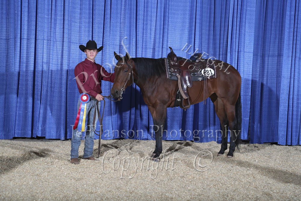 Backdrop Thursday Horse Shows 2020, 2021 and 2022 Farm and Horse Shows 2022 WDAA World