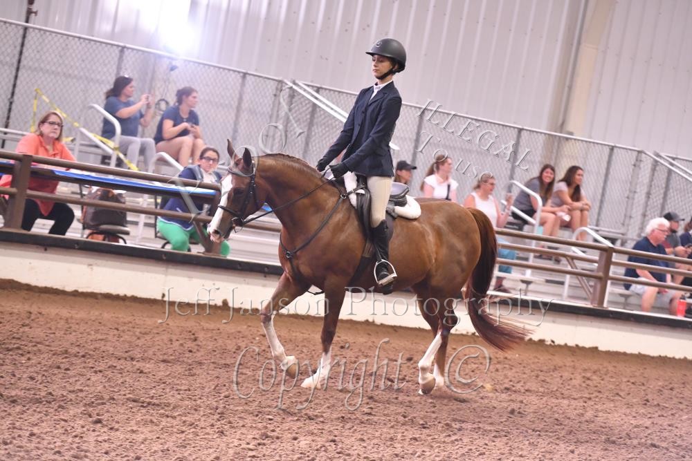 877 PB Hunter Seat Equitation 14 & Under Horse Shows 2020 2023
