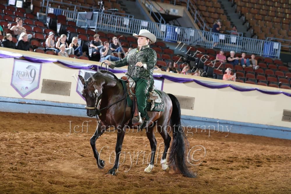2385 AWPA Arabian Horse Times PB Western Pleasure AAOTR Maturity