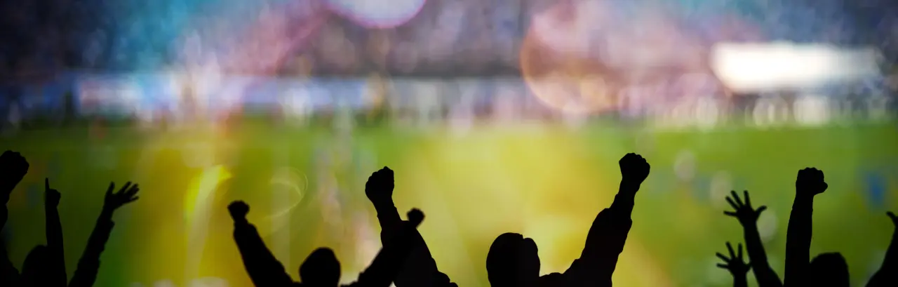 Futbol Excitement