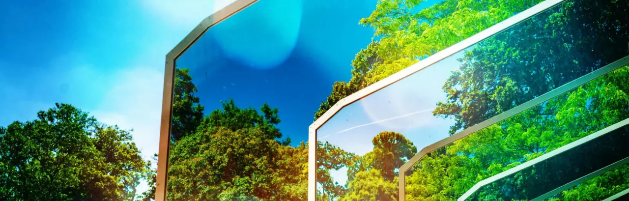 Reflection of trees on a glass surface
