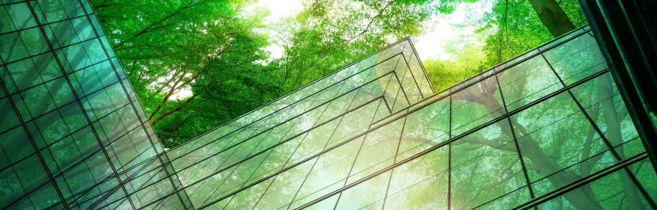 Eco-friendly building, sustainable glass office building with sun shining through an overhead tree.