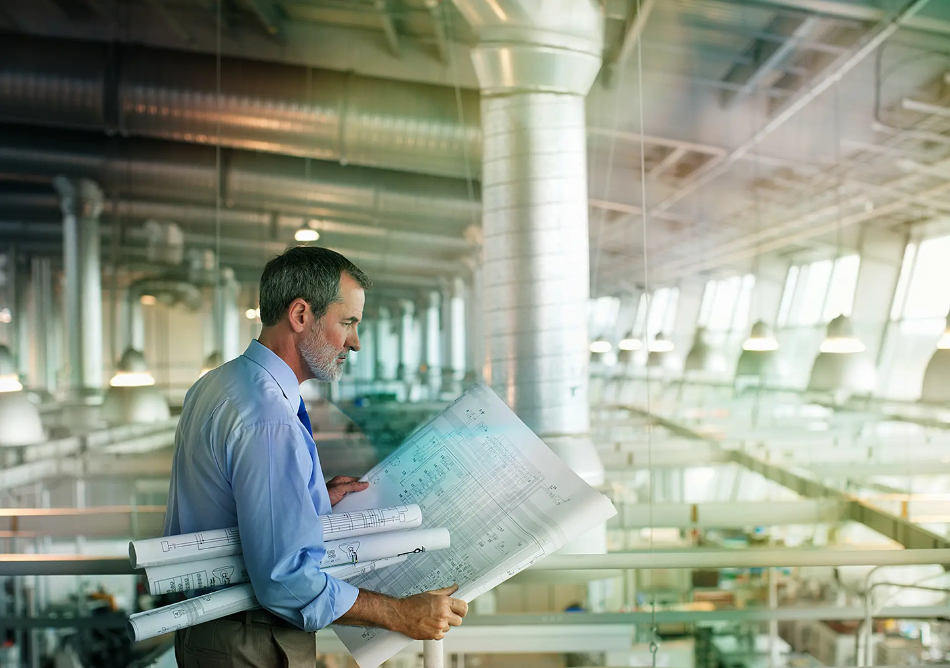 Architect viewing blueprints