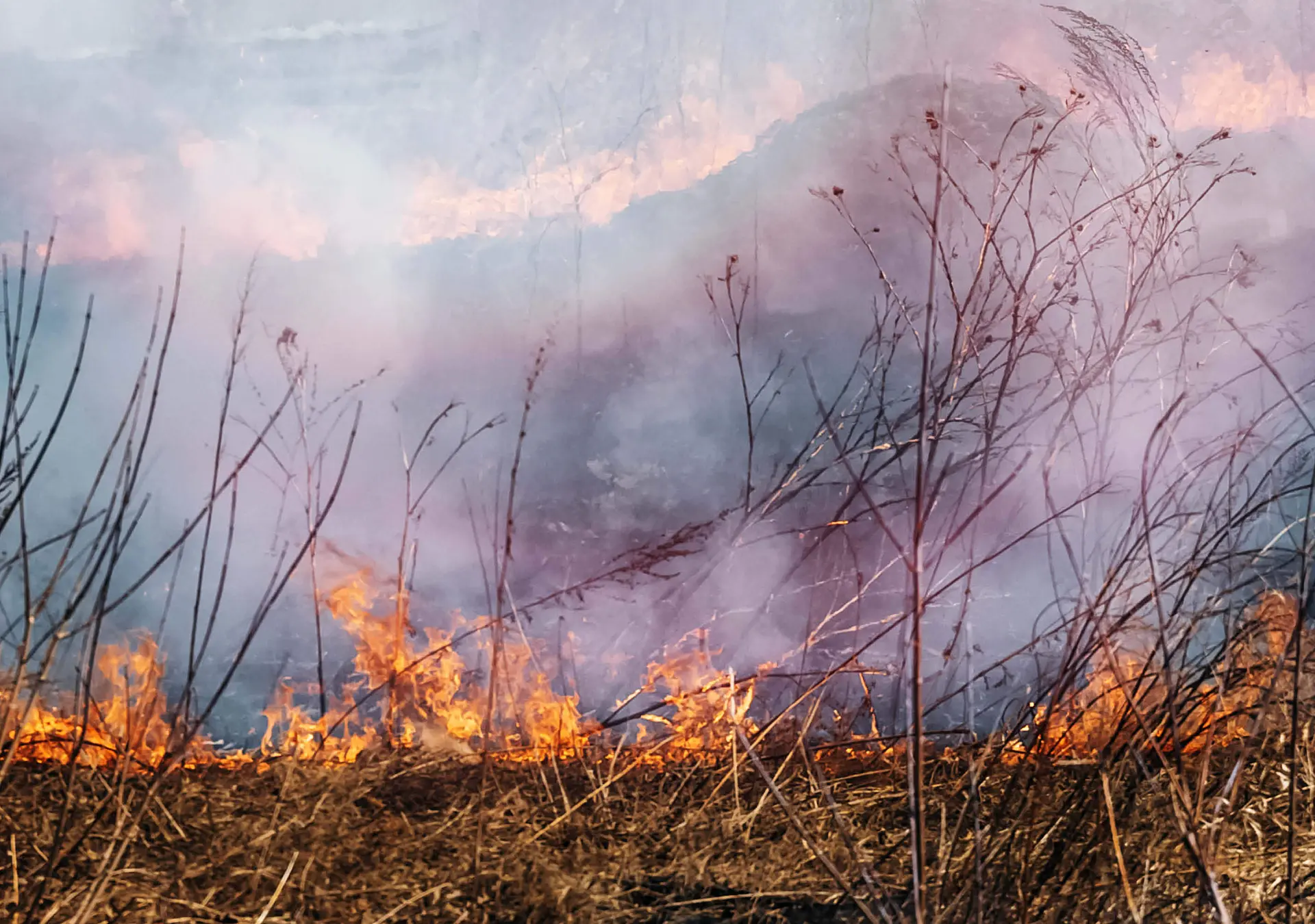 wildland fire