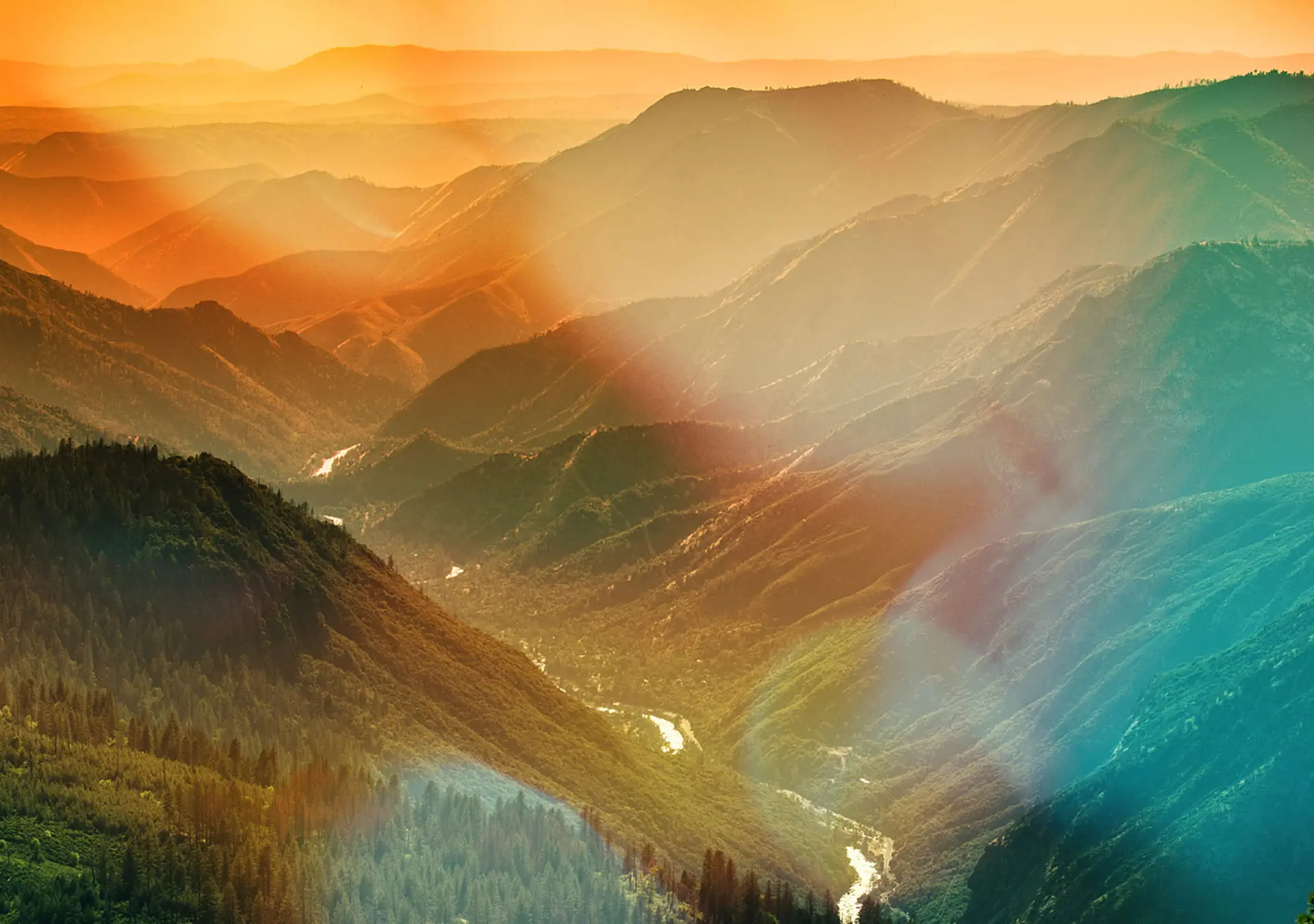 Trees and fog in the green forest of Stanislaus National Forest from Yosemite National Park