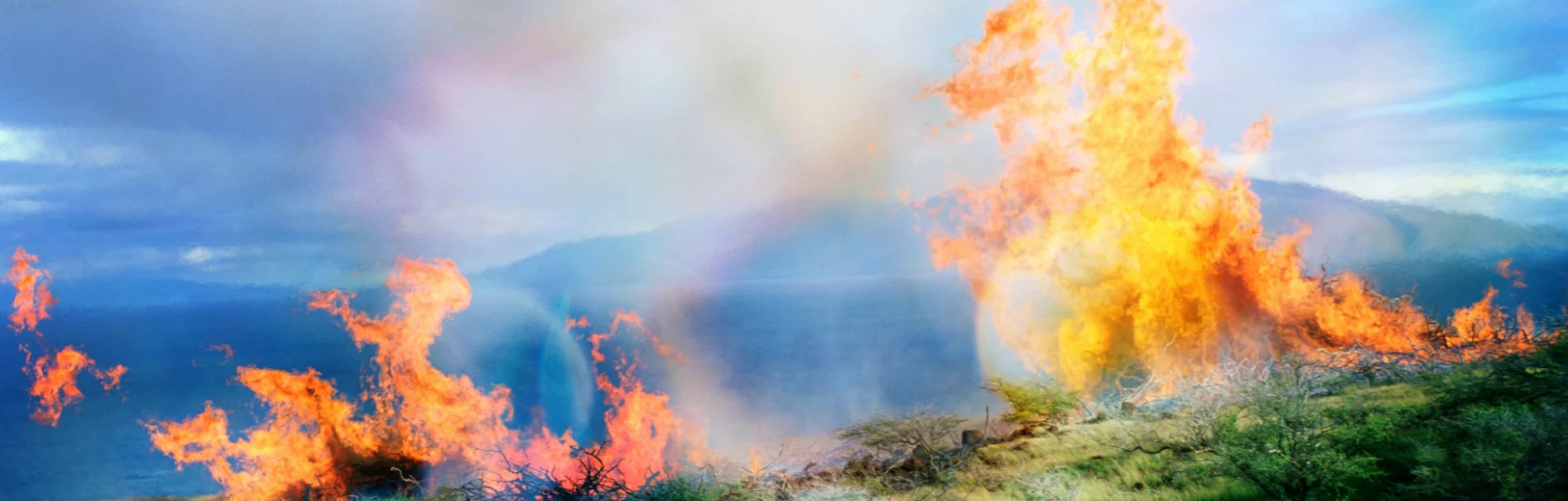 Aerial view of forest fire