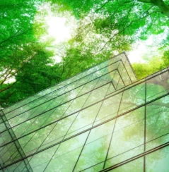Eco-friendly building, sustainable glass office building with sun shining through an overhead tree.