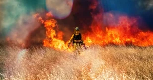 Wildfire raging across grass meadow in California, firefighter walking through meadow