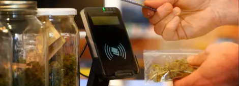 Medical marijuana at a clinic.