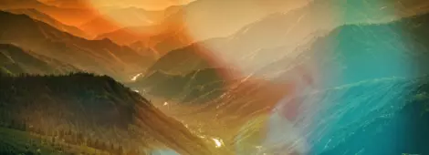 Trees and fog in the green forest of Stanislaus National Forest from Yosemite National Park