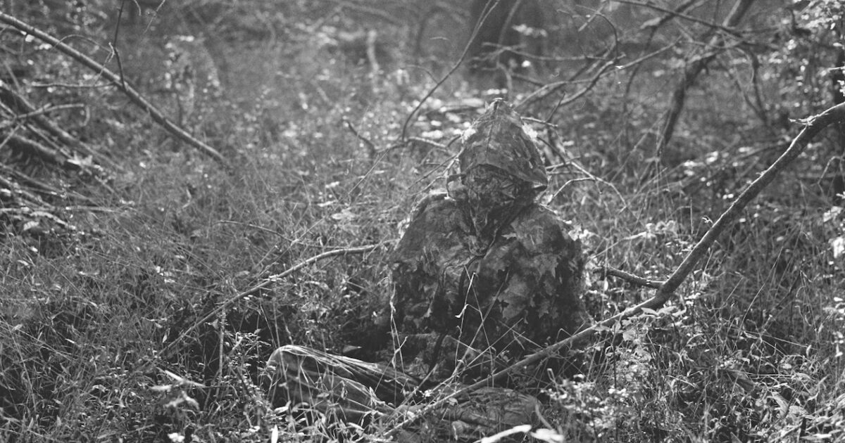 Shmita Means Total Destroy