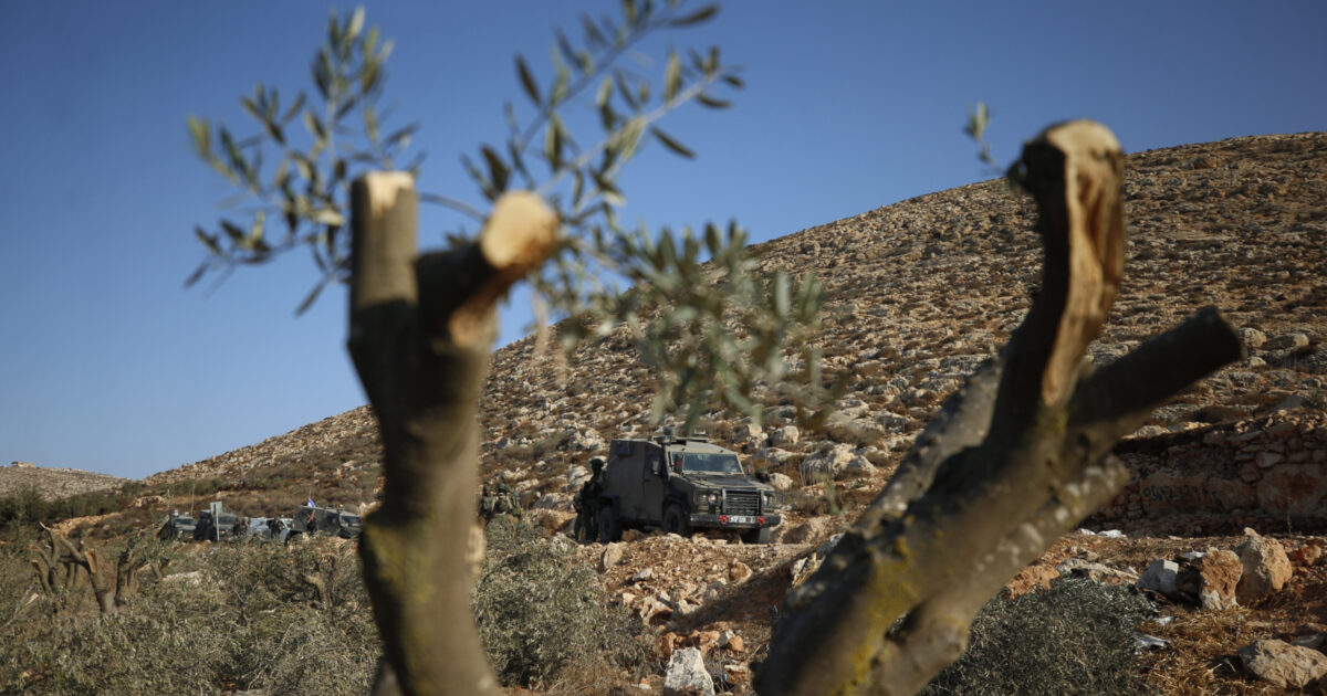 The Olive Harvest Deportations - Alarmed by efforts to publicize its violence against Palestinians, Israel is moving to expel international solidarity activists from the occupied West Bank.