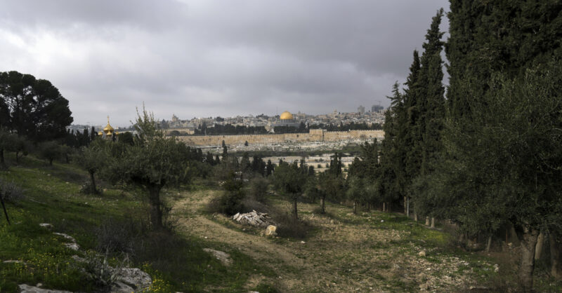 Facing Questions About Its Israel Trips, the Sierra Club Falters - Vimarsana News