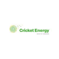 Cricket Energy Holdings Inc.