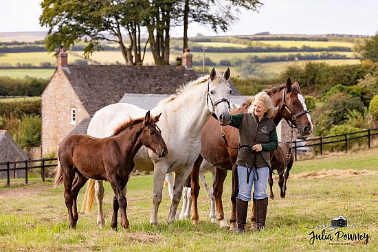 Somerset Irish Draughts