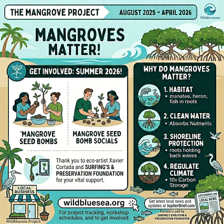 https://s3.us-east-1.amazonaws.com/jupiterbrief.com/images/wildbluesea-project.png