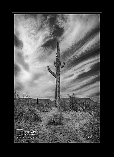 Emulsion Style Prints