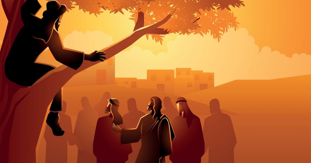 The Story Of Zacchaeus Kids Corner