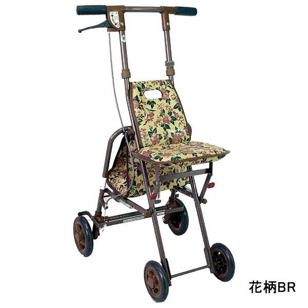 Knee Walker Rental Boise ID