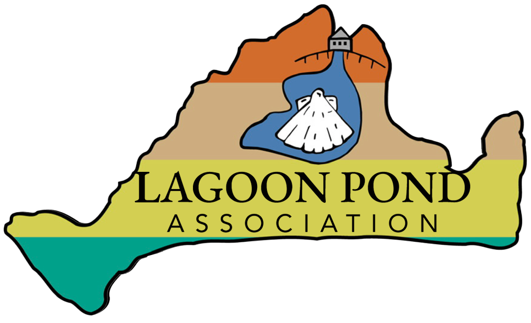 Lagoon Pond Association