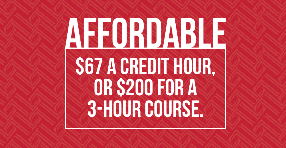 Lane Collegiate Academy Affordable