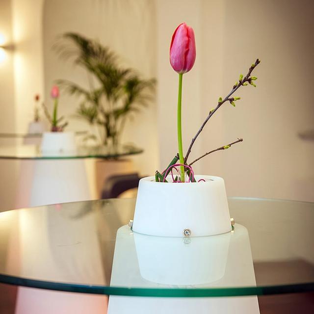 table-peak-(14).jpg