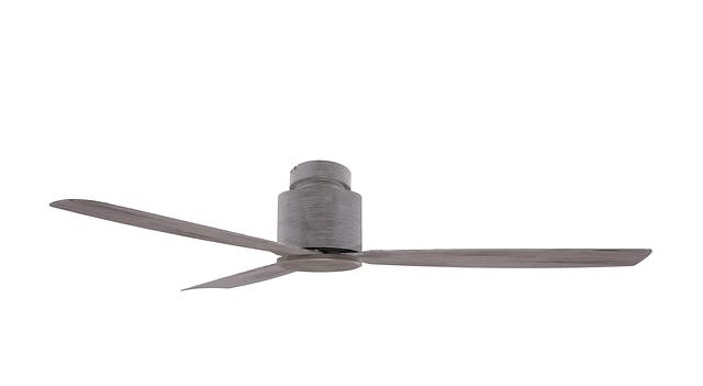 AUK-NL-FM HBUM (HBUG).jpg