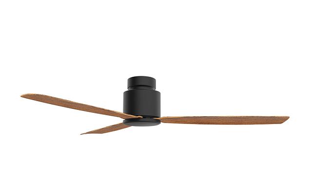 AUK-NL-FM (Black+Woodden).jpg