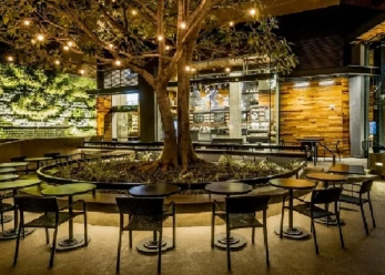 Chair  2026-01-15 144808.png