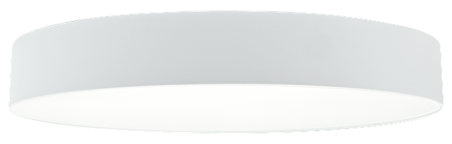 CL03-07-WH-1.png