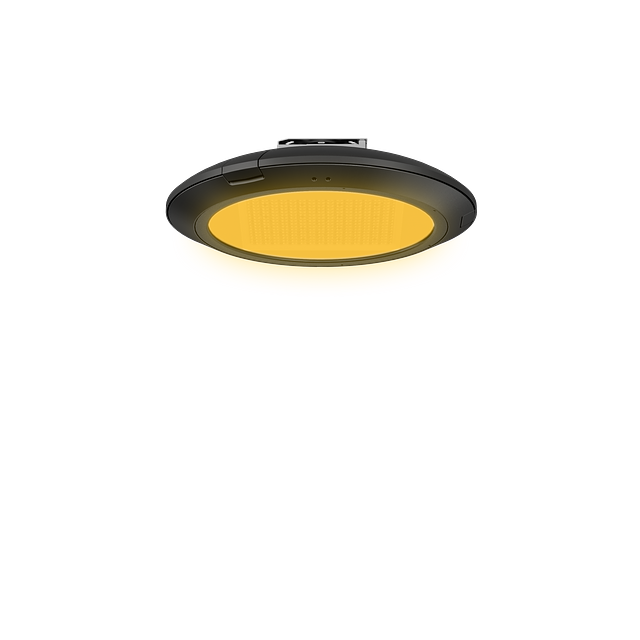 Amber PTA-SM BC.png