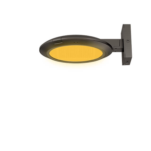Amber PTA-WM DC - 副本.png