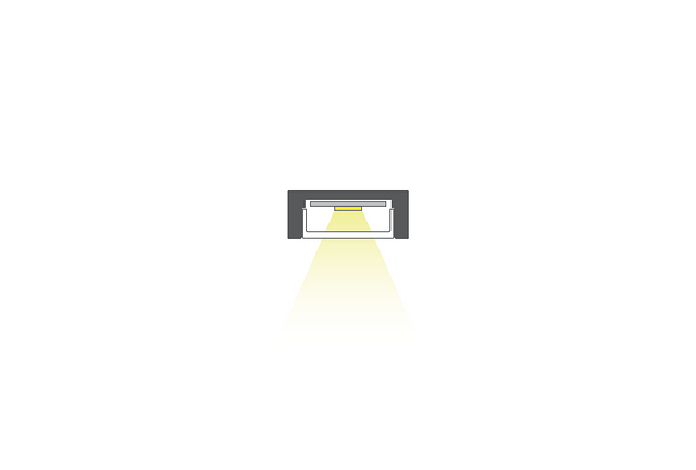 MICRO-PLUS-2.png