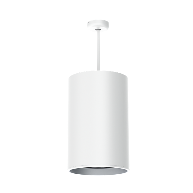 C1320_Ceiling.png