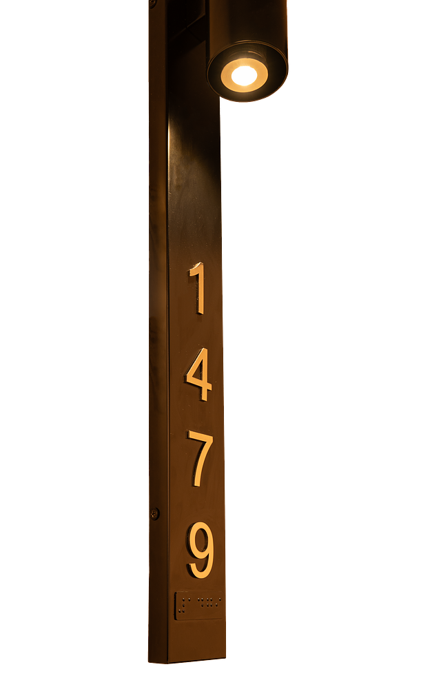 DSC00664.png