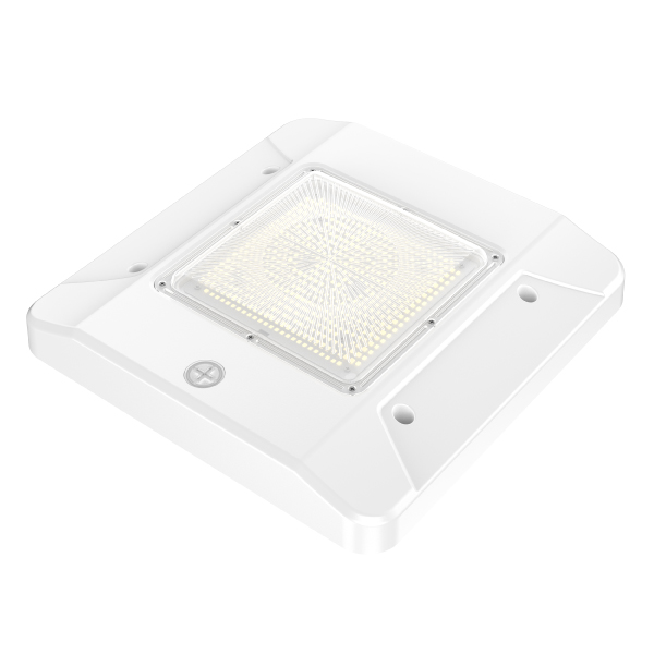 FLGC-product-pic-4.jpg