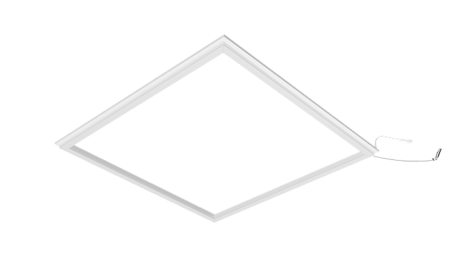 Frame Light -2x2-01.png