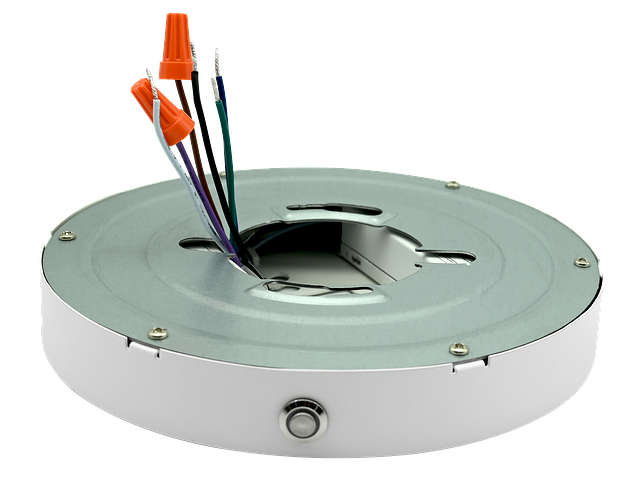 SPR-7-EM-4.png