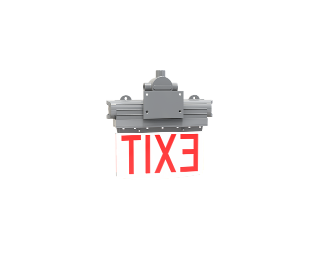 LL-EXEPAP-R-BACK.png