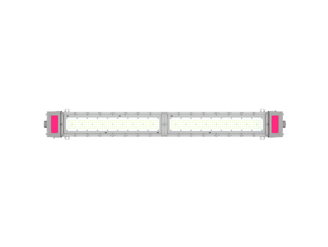 FLG-B 1.2.5.png