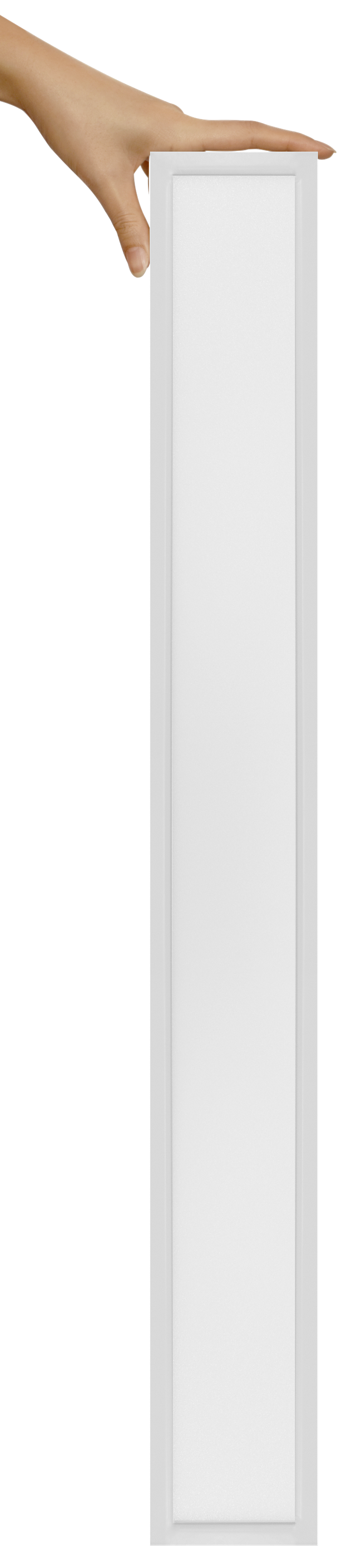 LR front view.png