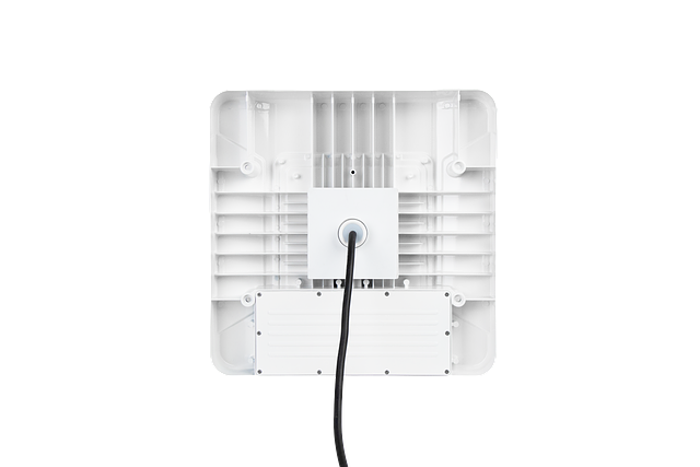 Image-Top View-CPHL_24054-13-Feb-2025.png