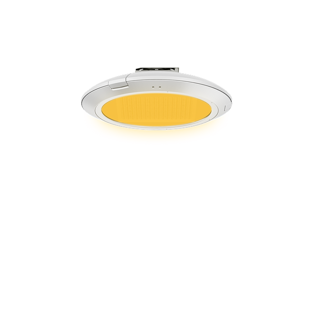 Amber PTA-SM WC.png
