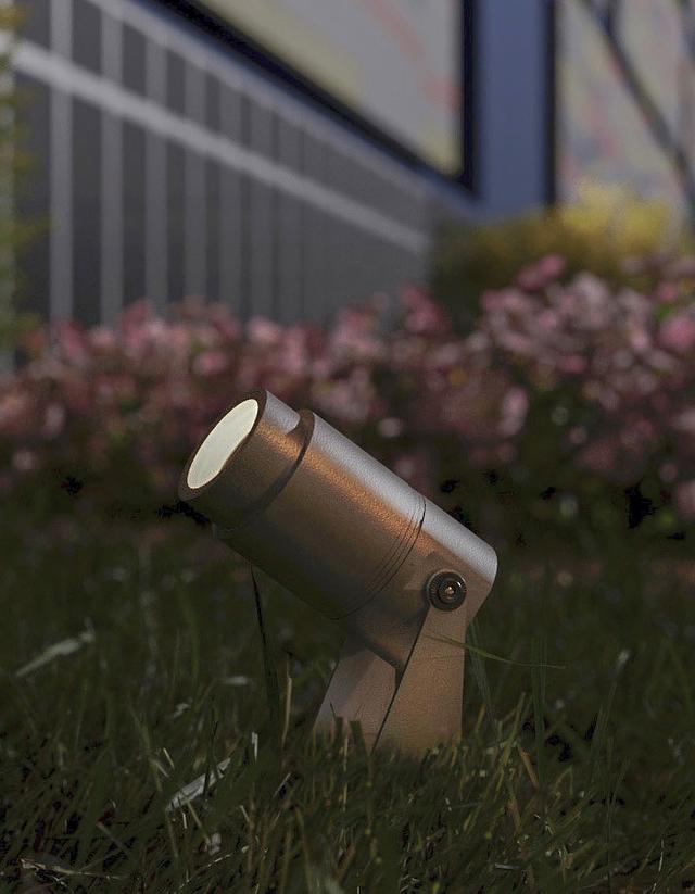 RAYZ_01_1.jpg