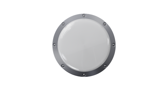 VR Pro Standard1.png